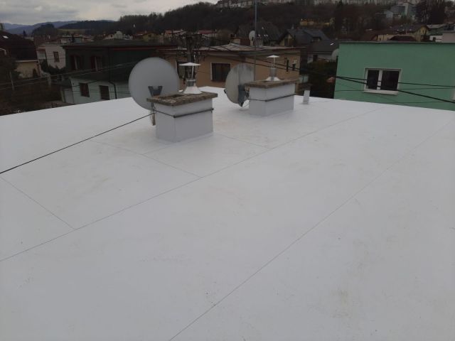 20230315_115031.jpg