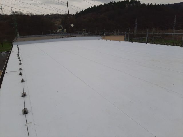 20230330_144654.jpg
